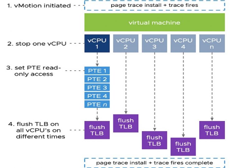 vSphere 7 Vmware vMotion con vCPU